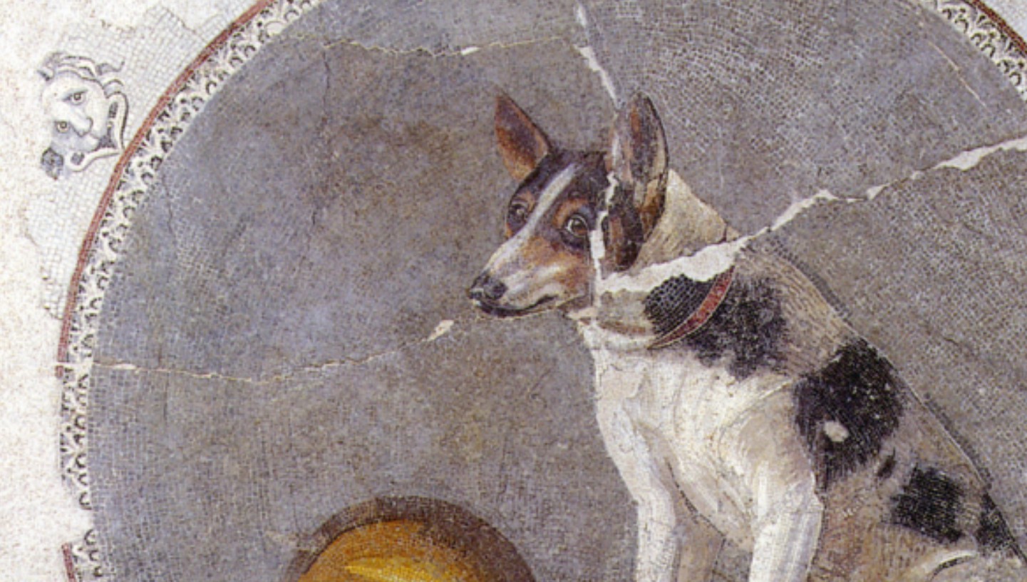 Archeologische resten zitten vol hondenpoep