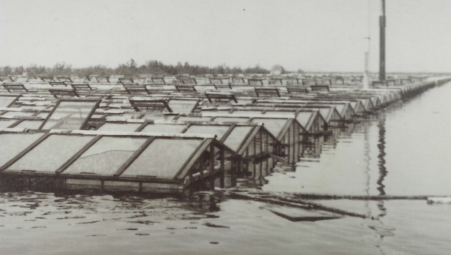 De inundatie van 1945 en het huis in het midden van de zee