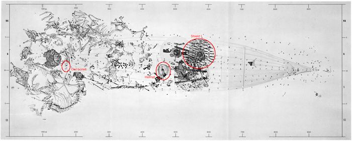 Een van de schepen die zijn opgegraven in Valsgärde. Je ziet onder andere botjes van uilen, een helm en een schild. Arwidsson, The excavation plan of Valsgärde 7 (1977). Bron: NTNU