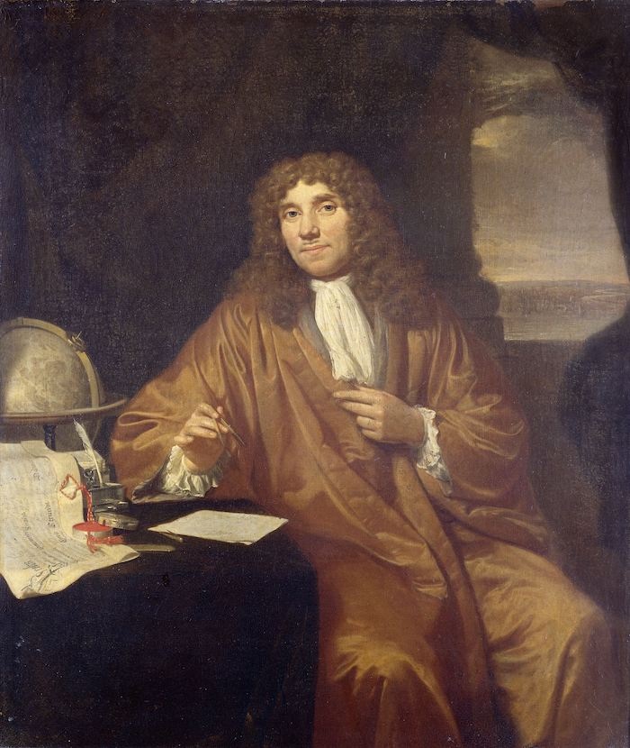 Jan Verkolje, Anthonie van Leeuwenhoek (ca. 1683). Bron: Rijksmuseum Amsterdam (SK-A-957)