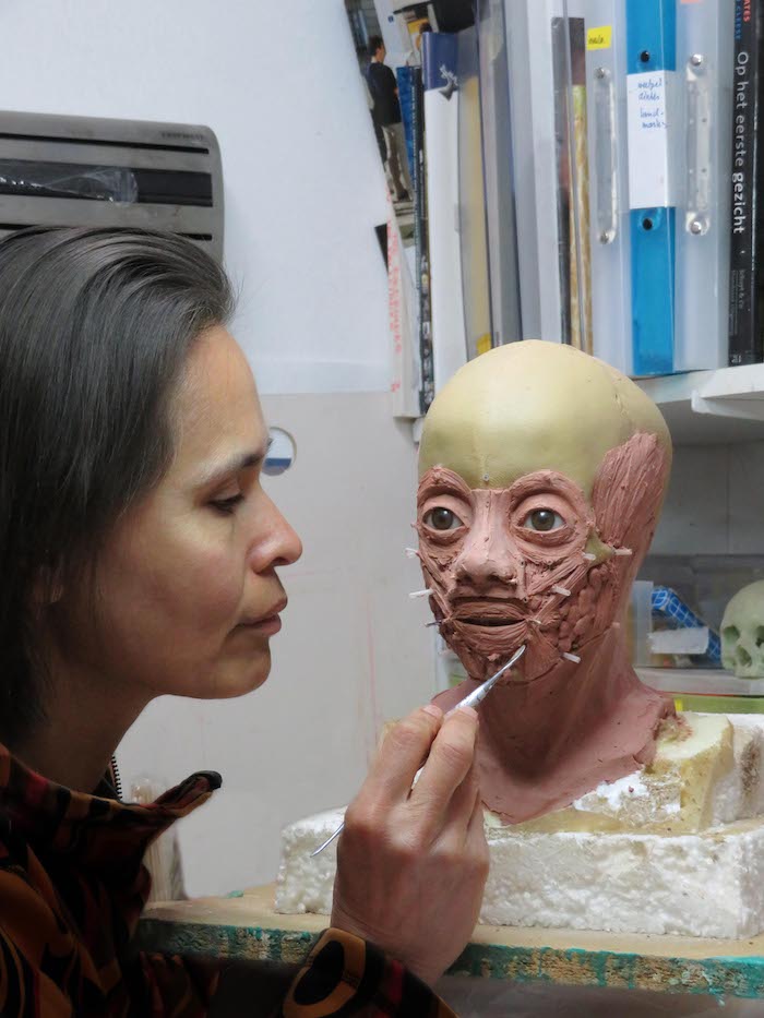 Specialist Maja d'Holossy reconstrueert gezicht jongen. Gezichtsreconstructie M. (Maja) d’Holossy (skulpting) - Amsterdam © Vlaams Erfgoed Centrum