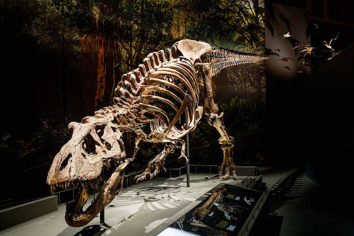 Mike Bink, Dinotijd T.rex Trix. Bron: Naturalis Diversity Center