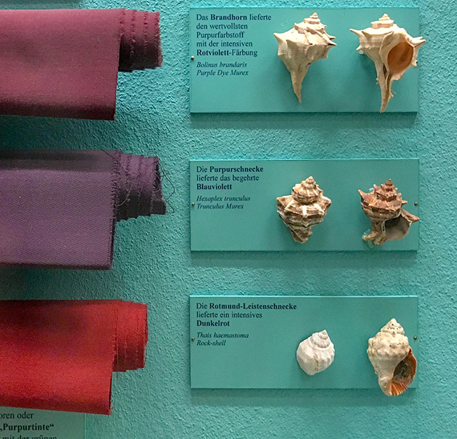 Purple dyed fabric with their corresponding sea snail, Naturhistorisches Museum Wien (2018). Bron: Wikimedia Commons
