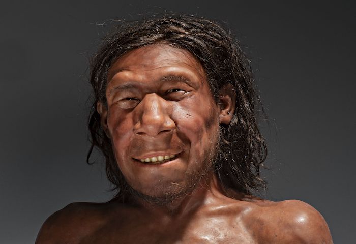 Servaas Neijens, Gezicht Nederlandse Neanderthaler (2021). Bron: © Rijksmuseum van Oudheden