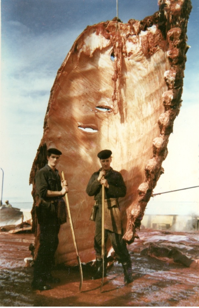 Durk van der Veen en Nutte Dijkstra voor de ribbenkast van een walvis. Onbekende fotograaf, Walvisvaarders. Bron: © De Traanjagers, Fries Scheepvaart Museum